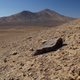 The Atacama Desert.